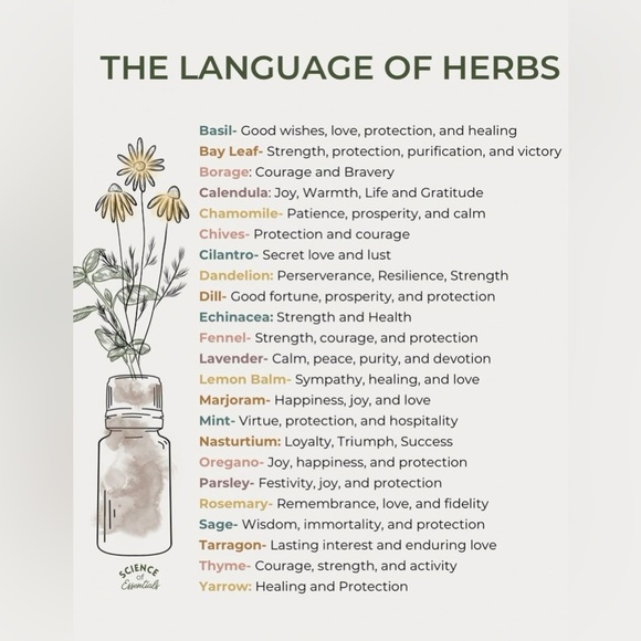 $2 PIN/BROOCH. ENAMEL/METAL. NEW. $2 WITH ANY $10 ORDER OR MORE - Picture 13 of 16